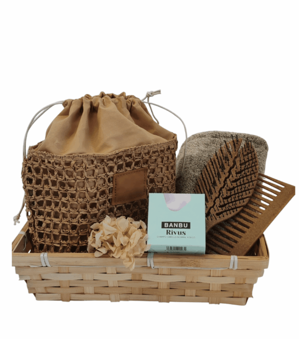CESTA TUILERIES