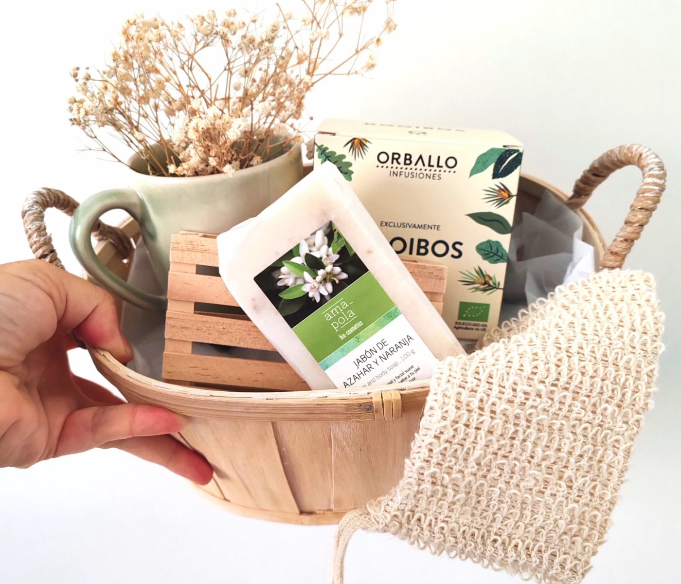 IMG_20240906_123451_edit_152770483098336 (1)-min